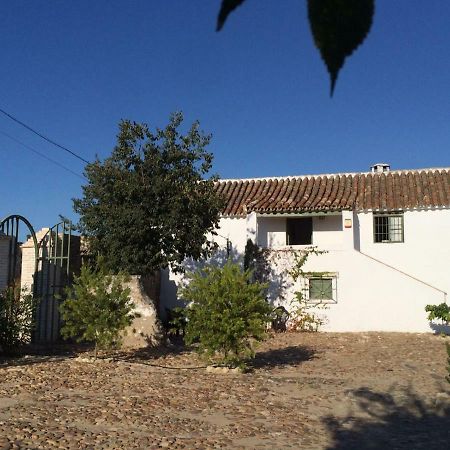 Casa Del Almezo Pensionat Almodóvar del Río Exteriör bild